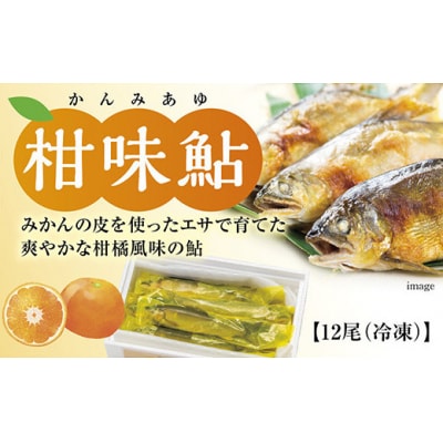 冷凍柑味鮎 D096