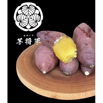 冷凍壺焼き芋5本入りセット D284