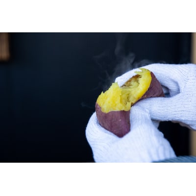 冷凍壺焼き芋5本入りセット D284