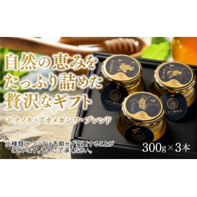 山口県産　愛情いっぱいはちみつギフトセット大(300g×3本) B060