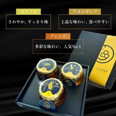 山口県産　愛情いっぱいはちみつギフトセット大(300g×3本) B060