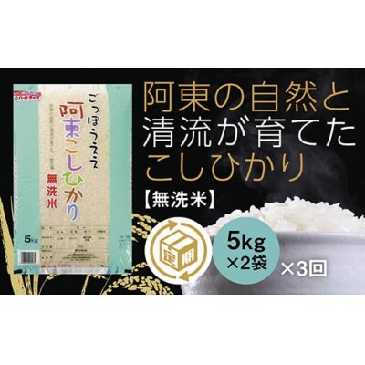 阿東こしひかり(無洗米5キログラム×2)3か月定期便 A113