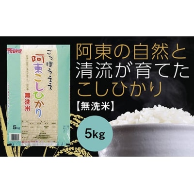 阿東こしひかり(無洗米5キログラム) D514