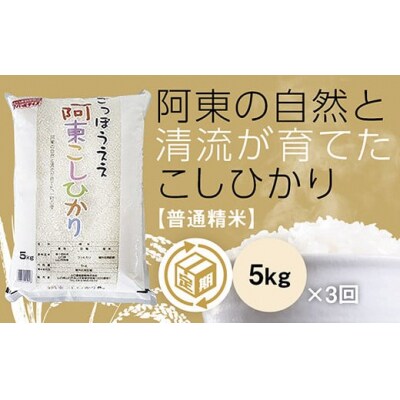 阿東こしひかり(普通精米5キログラム)3か月定期便 B107