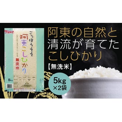阿東こしひかり(無洗米5キログラム×2) C132