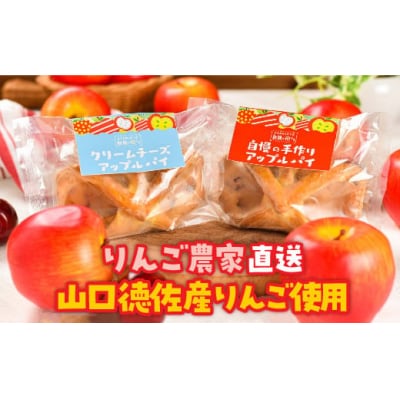 山口・徳佐　林檎の樹ららのアップルパイセット(2種類　各4個　合計8個入) D305