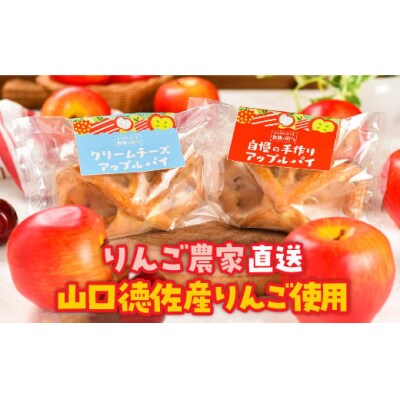山口・徳佐　林檎のきららのアップルパイセット(2種類　各5個　合計10個入) D306