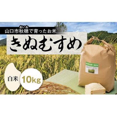 鳴滝清流米玄米30kg C023 | 山口県山口市 | ふるさと納税サイト
