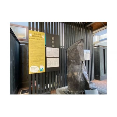 温泉の素「湯田の湯」(250g×2個) D315 