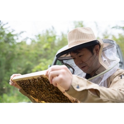 郷のはちみつ定期お届け便 130gを3個ずつ年6回お届け A071