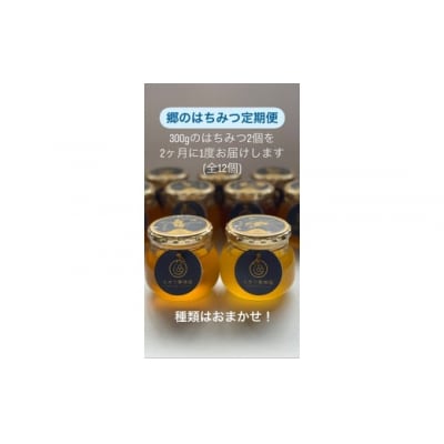 郷のはちみつ定期お届け便 300gを2個ずつ年6回お届け A073