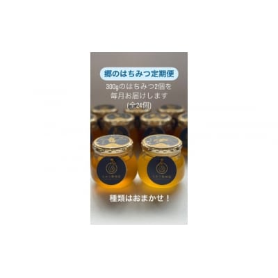 郷のはちみつ定期お届け便 300gを2個ずつ年12回お届け A074