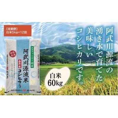 山口県別府　コシヒカリ 山口県別府コシヒカリ