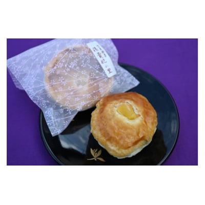 銭の菓子本舗のつくる郷土菓子　詰め合わせセット(焼きまんじゅう、もなか、パイ饅頭) E100