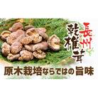 長州乾椎茸ホール35g×3 E093