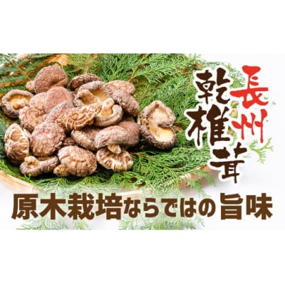長州乾椎茸セット(ホール35グラム×2袋+スライス28グラム×1袋) D676
