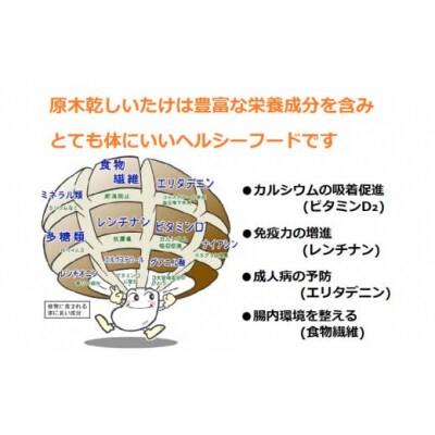 長州乾椎茸セット(ホール35g×2袋+スライス28g×1袋) E092