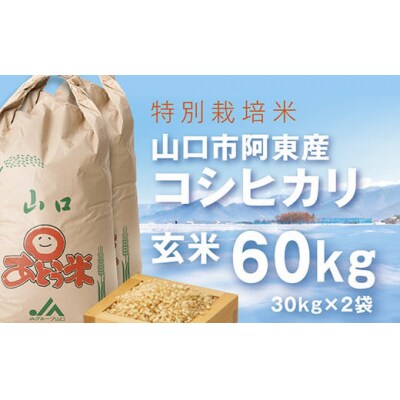 特別栽培米阿東産コシヒカリ玄米60kg A096