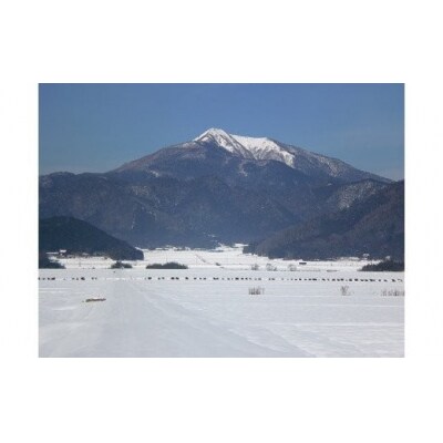 特別栽培米阿東産コシヒカリ玄米60kg A096