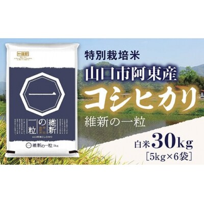 維新の一粒5㎏×6袋(白米) A097