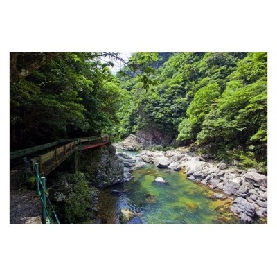 維新の一粒5㎏×6袋(白米) A097