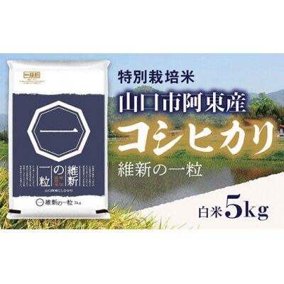 維新の一粒5kg(白米) D407