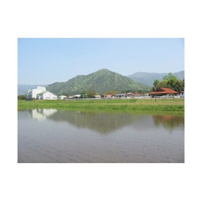 無洗米阿東のこしひかり2kg×4袋(白米) D408