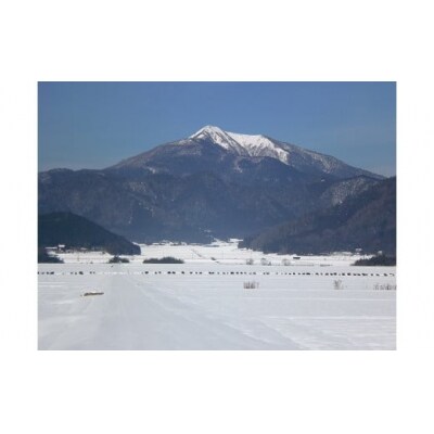 無洗米阿東のこしひかり2kg×4袋(白米) D408