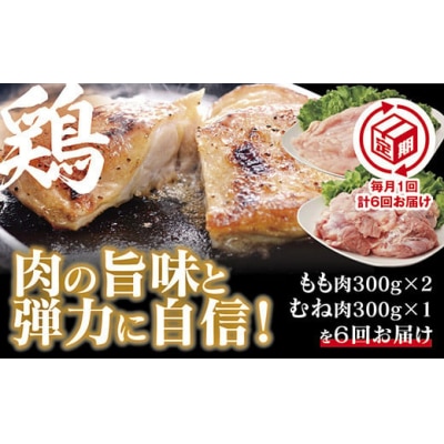 【定期(6回)】秋川牧園 旨みたっぷり鶏肉セット B082