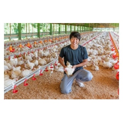 秋川牧園　旨みたっぷり鶏肉セット D351