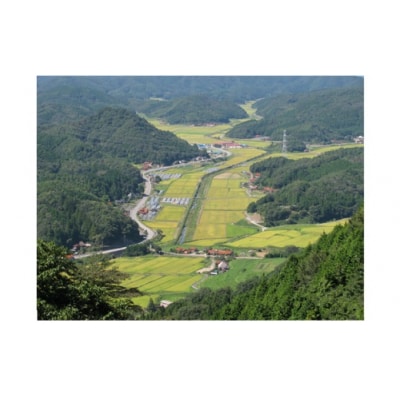 【定期便】阿武川源流米コシヒカリ白米60キログラム(5キログラム×12回) A094