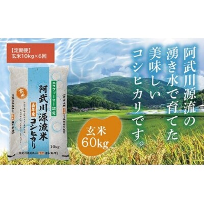 【定期便】阿武川源流米コシヒカリ玄米60キログラム(10キログラム×6回) A116