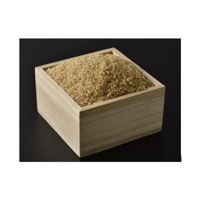 【定期便】阿武川源流米コシヒカリ玄米60キログラム(10キログラム×6回) A116