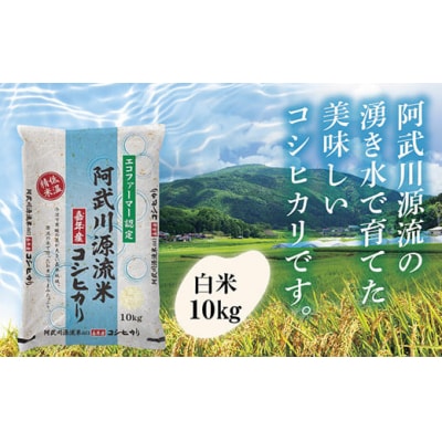 阿武川源流米コシヒカリ白米10キログラム D538