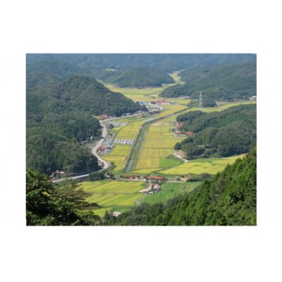 阿武川源流米コシヒカリ白米10キログラム D538