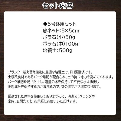 培養土【植え替え土セット】観葉植物の土　5号 E104