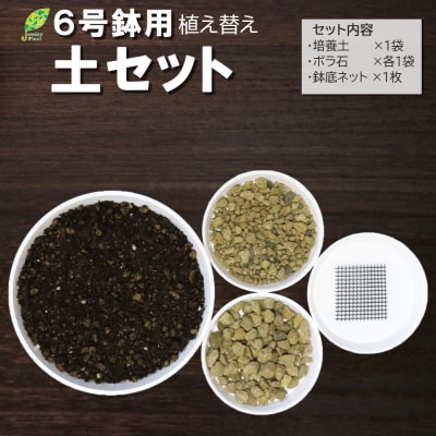 培養土　【植え替え土セット】　観葉植物の土　6号 E105