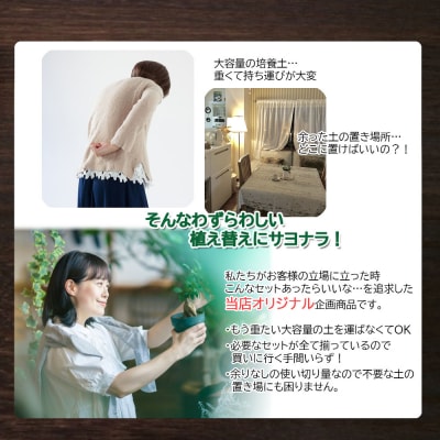 培養土　【植え替え土セット】　観葉植物の土　6号 E105
