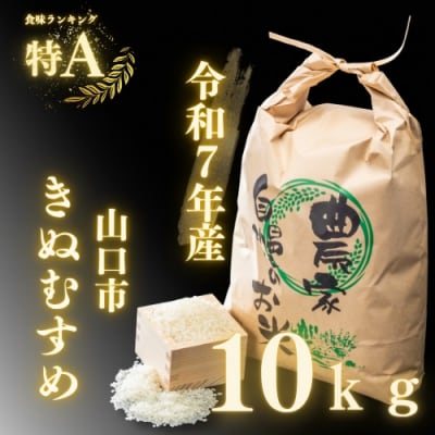 農家直送!山口市産「きぬむすめ」精米10kg D405