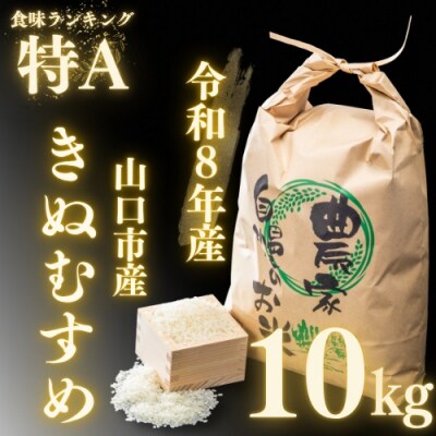 農家直送!山口市産新米「きぬむすめ」精米10キログラム D571