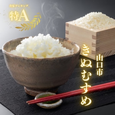 農家直送!山口市産新米「きぬむすめ」精米10キログラム D571