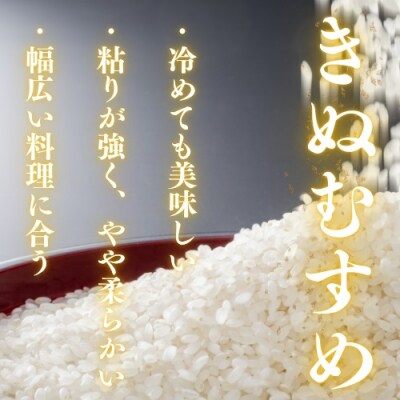 農家直送!山口市産新米「きぬむすめ」精米10キログラム D571