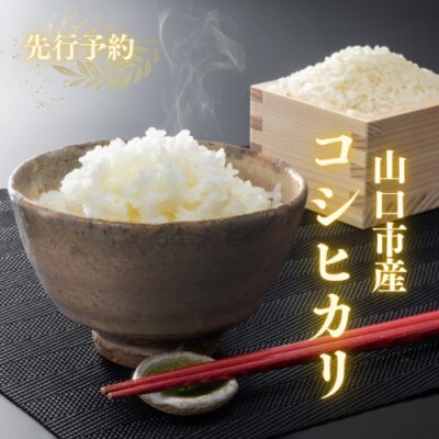 農家直送!山口市産新米「コシヒカリ」精米10キログラム D569