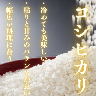 農家直送!山口市産新米「コシヒカリ」精米10kg D404