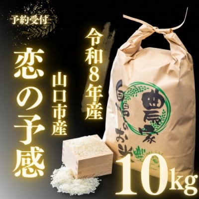 農家直送!山口市産新米「恋の予感」精米10キログラム D567