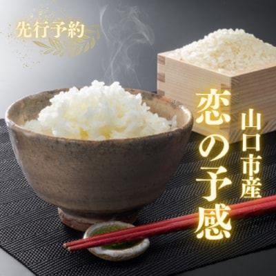 農家直送!山口市産新米「恋の予感」精米10キログラム D567