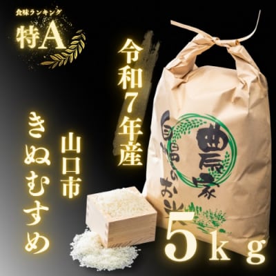農家直送!山口市産「きぬむすめ」精米5kg D395