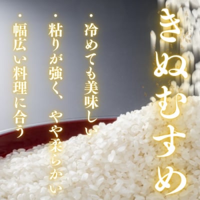 農家直送!山口市産「きぬむすめ」精米5kg D395