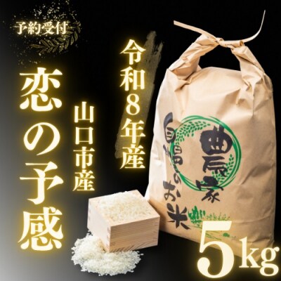 農家直送!山口市産新米「恋の予感」精米5キログラム D566