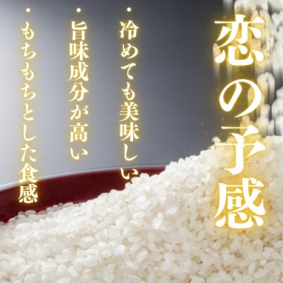 農家直送!山口市産新米「恋の予感」精米5キログラム D566